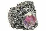 Corundum (Sapphire) Crystal in Mica Schist Matrix - Madagacar #130487-5